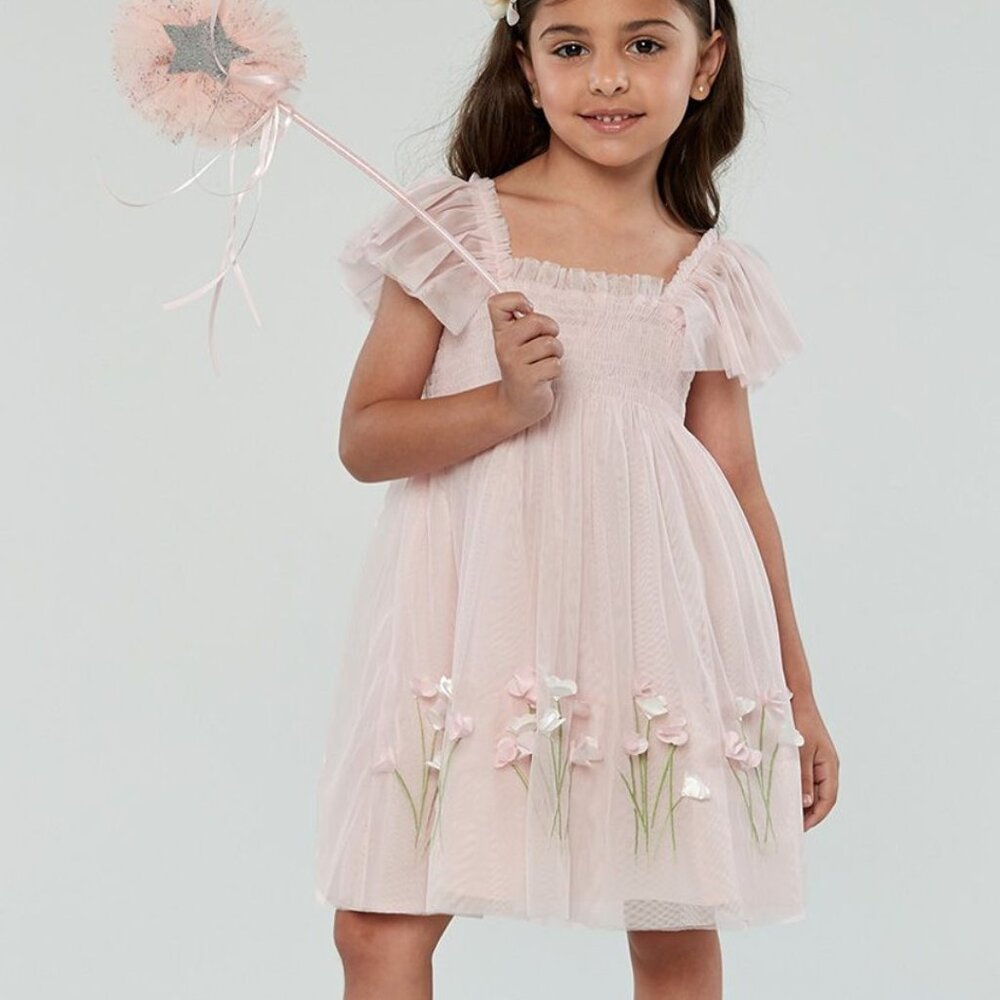 Pink Spring Gardens Embroidered Tulle with Smocked Bodice Dress Size 5